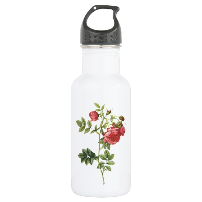 Bouteille D'eau rose de navet (Rosa rapa) par Redouté (Devant)