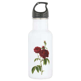 Bouteille D'eau rose évêque de Redouté