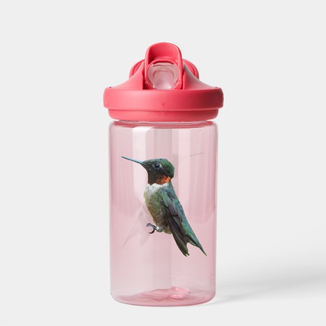 Bouteille D'eau Ruby-Throated Hummingbird Bird Photography (Avant)