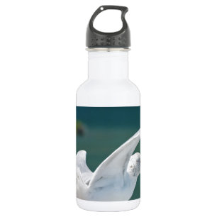 Bouteille D'eau Seagull.JPG