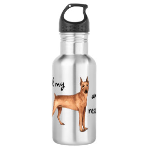Bouteille D'eau Secourir allemand Pinscher