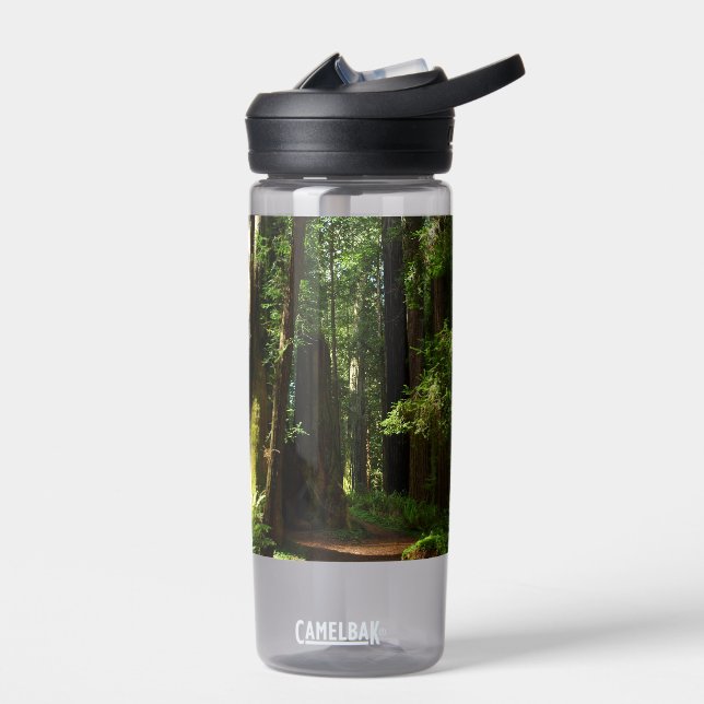 Bouteille D'eau Séquoias et fougères au parc national de Redwood (Gauche)