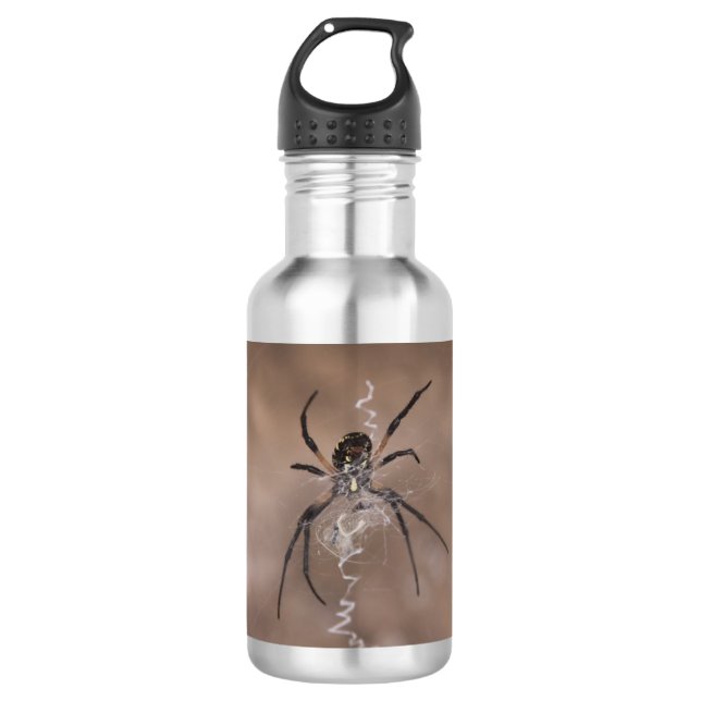 Bouteille d'eau Spider (Devant)
