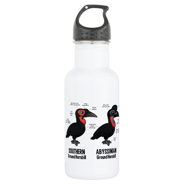 Bouteille D'eau Statistiques au sol de Hornbil (Devant)