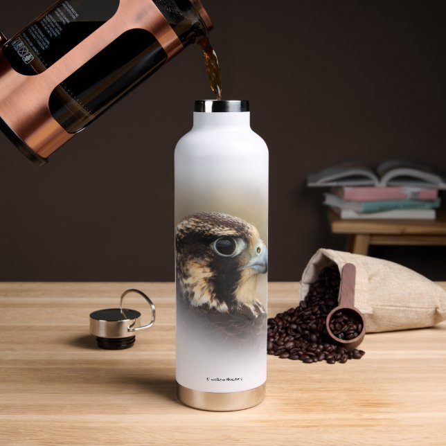 Bouteille D'eau Superbe profil Vigné d'un faucon pèlerin (Café)