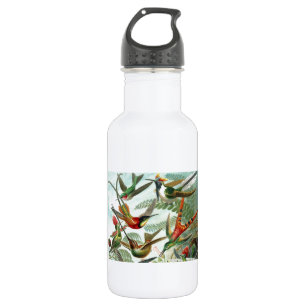 Bouteille D'eau tableau classique de la faune des oiseaux colibris