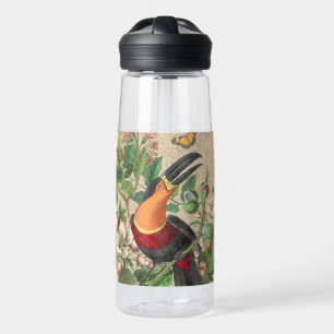 Bouteille D'eau Toucan Jungle Tropical Bird Belle antique