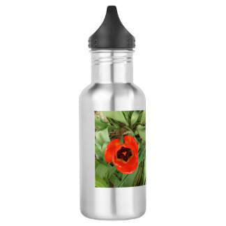 Bouteille d'eau Tulipe Rouge