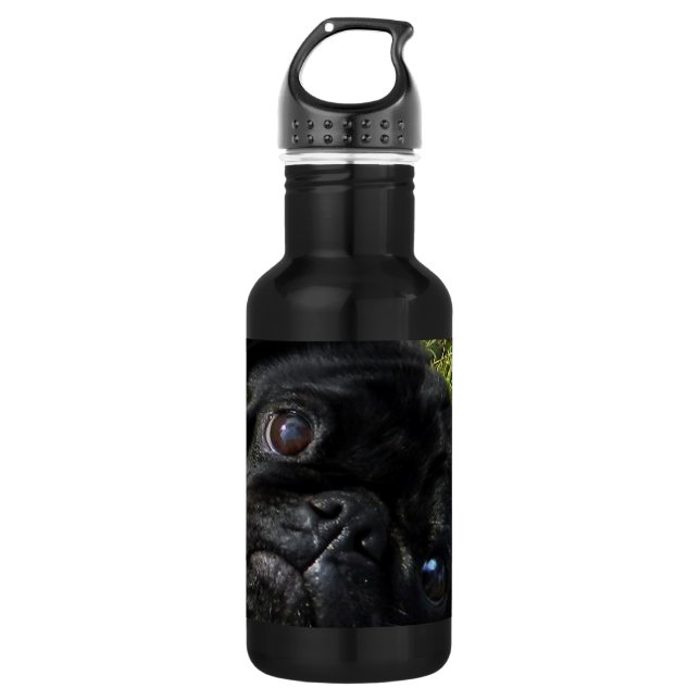 Bouteille D'eau yeux de noir-carlin (Devant)
