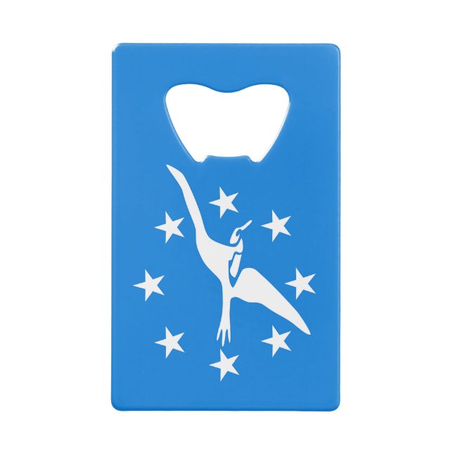 Bouteille en acier inoxydable Ouvert Corpus Christ (Devant)