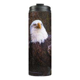 Bouteilles Isothermes Aigle de Bald