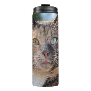 Bouteilles Isothermes Ajouter une Personnaliser photo de chat