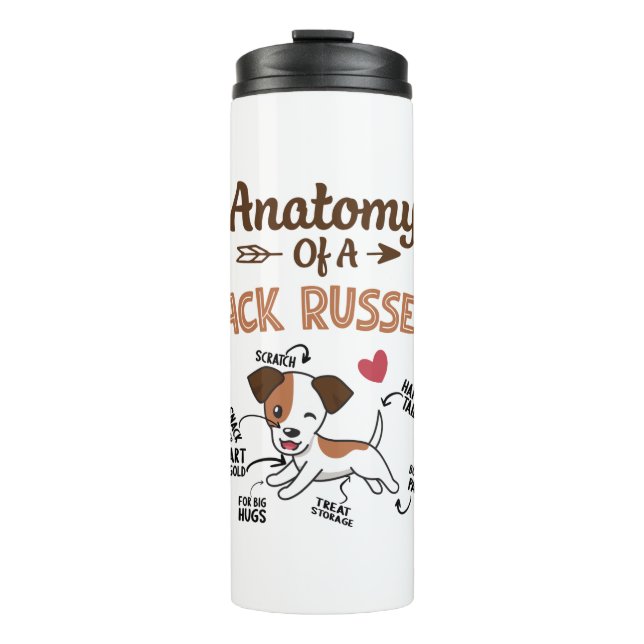 Bouteilles Isothermes Anatomie D'Un Jack Russell Terrier (Devant)