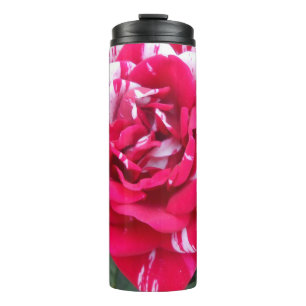 Bouteilles Isothermes Anicia