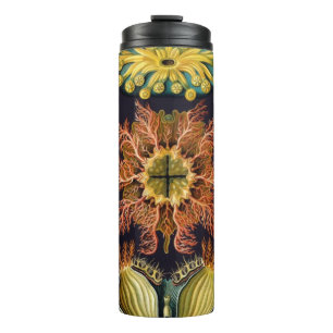 Bouteilles Isothermes Ascidiae par Ernst Haeckel, Animaux marins vintage