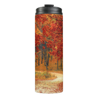 Bouteilles Isothermes automne dans la forêt