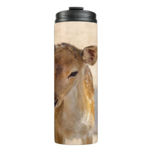 Bouteilles Isothermes Baby Deer