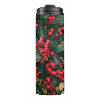 Bouteilles Isothermes Baie rouge de houx