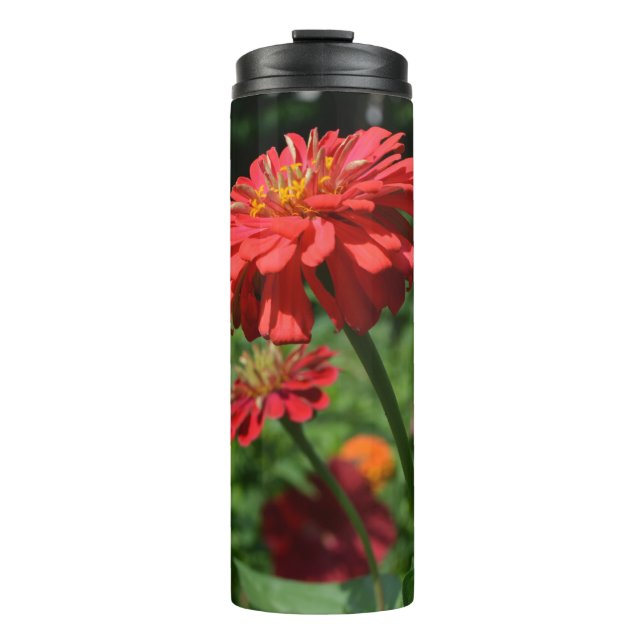 Bouteilles Isothermes Basilique orange, zinnia, cosmo, jardin de tournes (Devant)