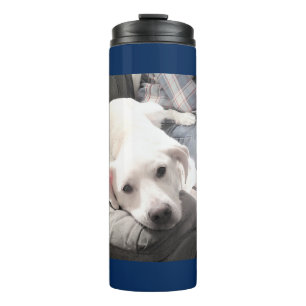 Bouteilles Isothermes Belle Marine Bleu Doux Chien Blanc Avec Papa