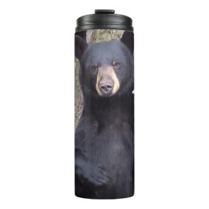 Bouteilles Isothermes Belle Ours Noir