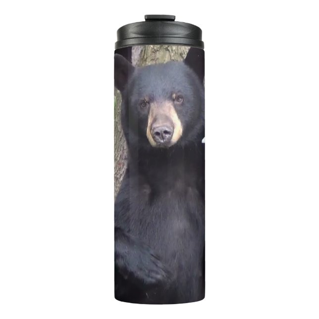 Bouteilles Isothermes Belle Ours Noir (Devant)
