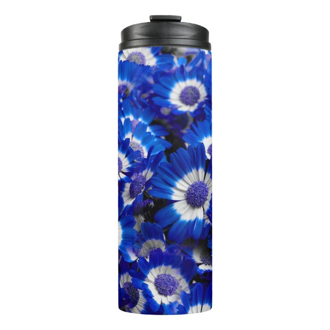 Bouteilles Isothermes Belle Royal Blue Cineraria Fleurs (Devant)