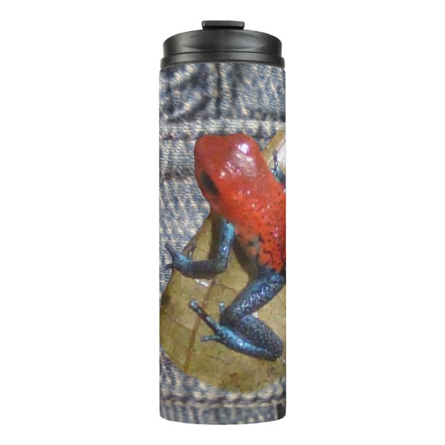 Bouteilles Isothermes Bleu Jeans Frog Tumbler (Devant)