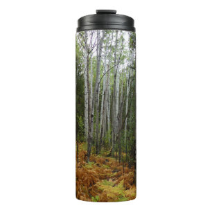 Bouteilles Isothermes Bouleaux blancs et fougères d'automne dans les mon