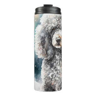 Bouteilles Isothermes --Bouteille isotherme