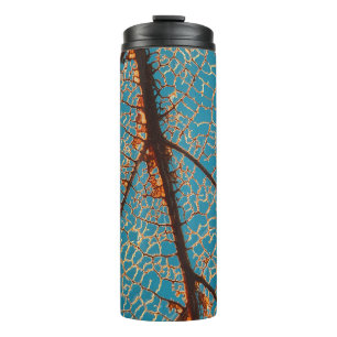 Bouteilles Isothermes Brown arbre nu sous ciel bleu le matin