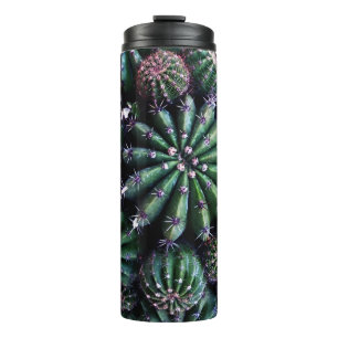 Bouteilles Isothermes Cactus de la maison : Nourriture belle conception
