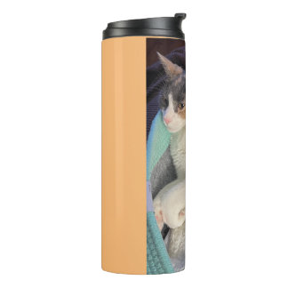 Bouteilles Isothermes Calico Chat dans le lit de chat