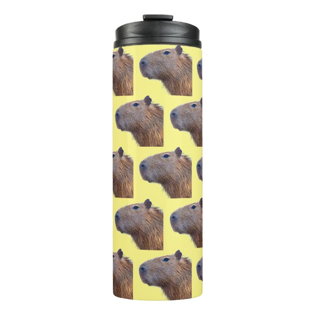 Bouteilles Isothermes Capybara (Devant)