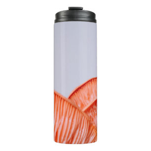BOUTEILLES ISOTHERMES CHAMBRES ROSES