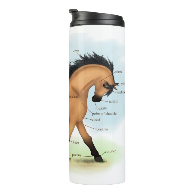 Bouteilles Isothermes Cheval Buckskin Education Equine Anatomie (Tourné sur la droite)