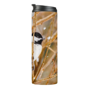 Bouteilles Isothermes Chickadee au plafond noir - Photo originale