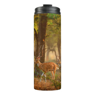 Bouteilles Isothermes Chien ou cheetal, axe Axe, cerfs tachetés ou axi