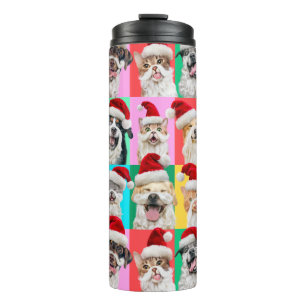 Bouteilles Isothermes Chiens et chats avec barbe de Père Noël