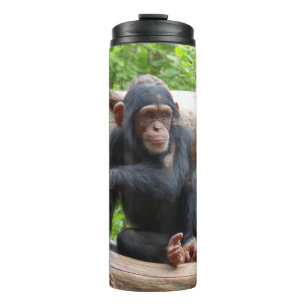 Bouteilles Isothermes Chimpanzée 001