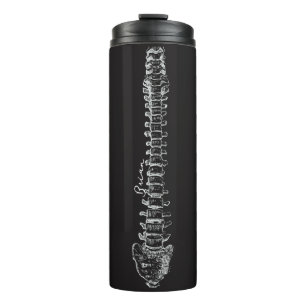 Bouteilles Isothermes Chiropracteur d'anatomie de la colonne vertébrale