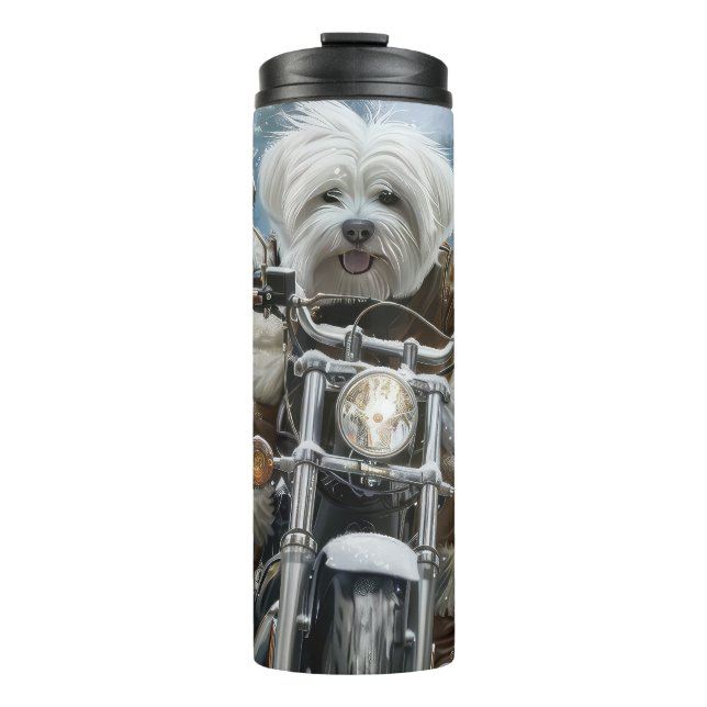 Bouteilles Isothermes Coton De Tulear Chien équitation Moto Noël (Devant)