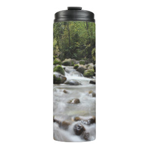 Bouteilles Isothermes Culbuteur de courant de forêt