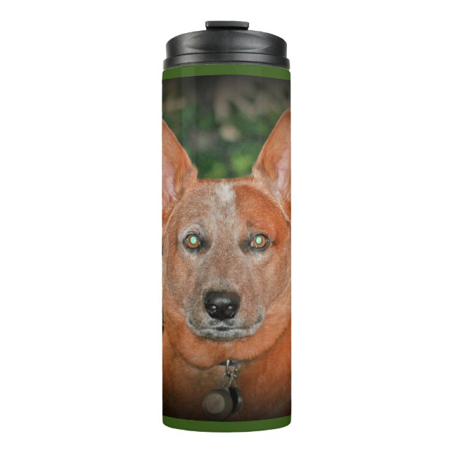 Bouteilles Isothermes Culbuteur rouge de courant ascendant de chien de (Devant)