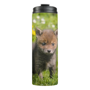 Bouteilles Isothermes Cute Fluffy Red Fox Cub Wild Baby Animal Photo -