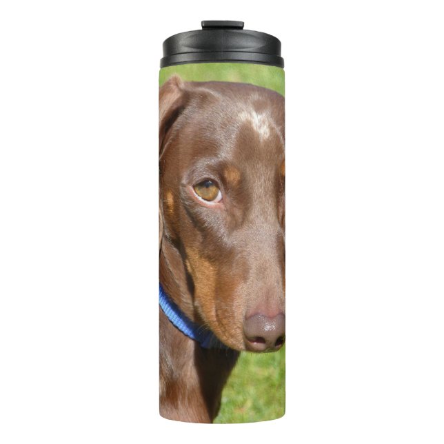 Bouteilles Isothermes Dachshund (Devant)