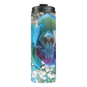 Bouteilles Isothermes Donella