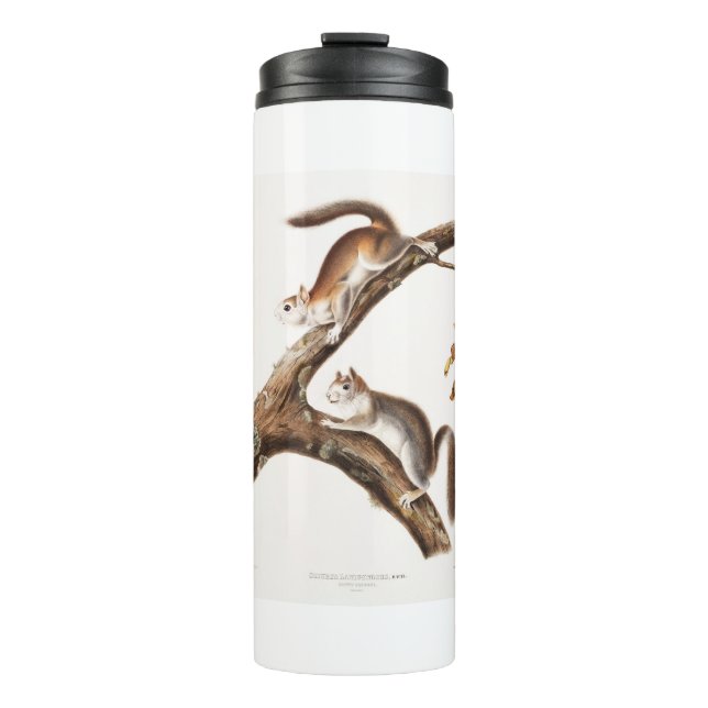 Bouteilles Isothermes Downy Brown Squirrel House (Devant)