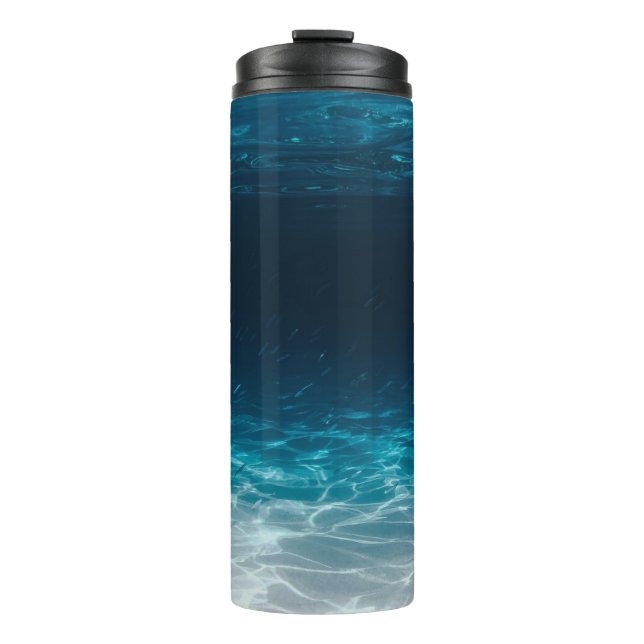 Bouteilles Isothermes Eau de mer sous la mer (Devant)