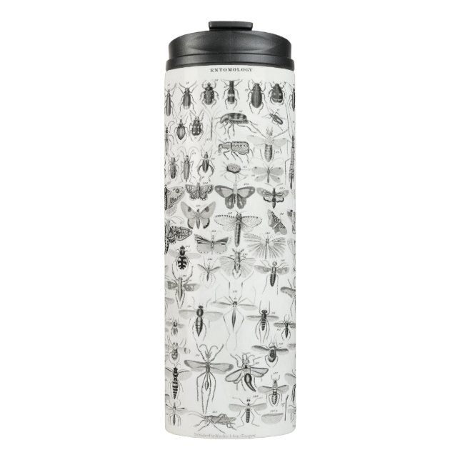 Bouteilles Isothermes Entomologie d'une histoire de la terre et animer (Devant)